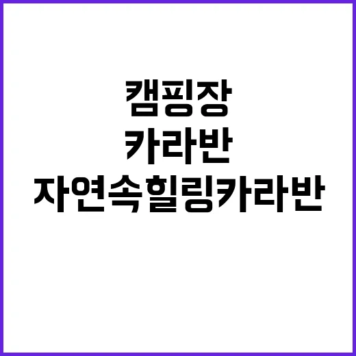 가리왕산 정원 캠핑…