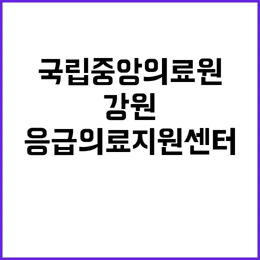 국립중앙의료원 비정…