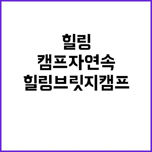 힐링브릿지캠프