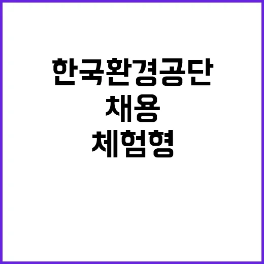 한국환경공단 청년인…