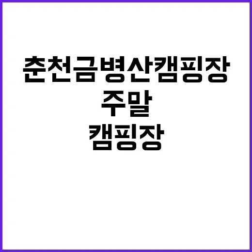 춘천 금병산 캠핑장…