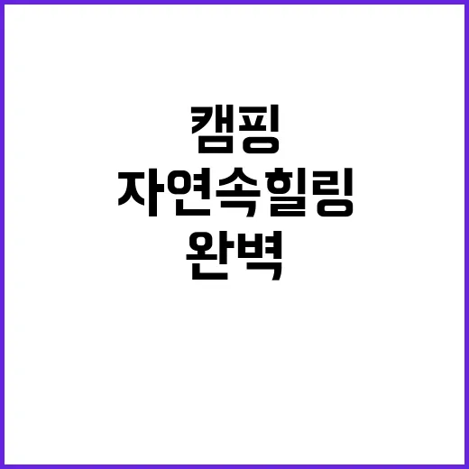 럼버잭 캠핑