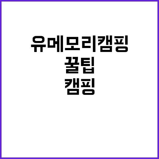 유메모리 캠핑