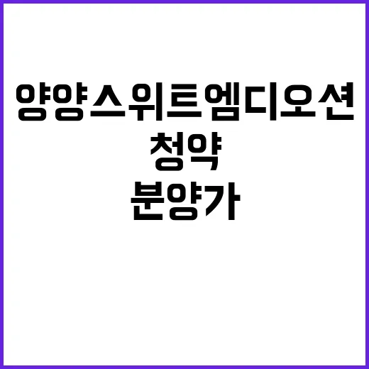 양양 스위트엠 디오션 청약 정보 분양가 궁금해?