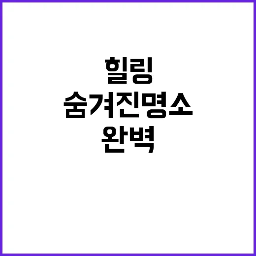 캠핑 879