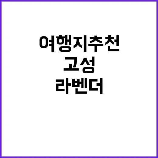 고성라벤더 캠핑장 …