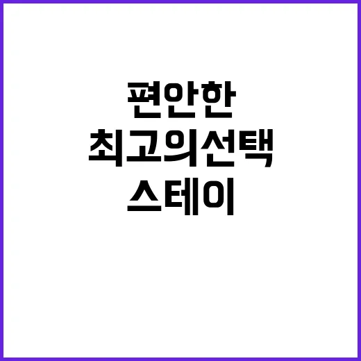 스테이123 편안한…