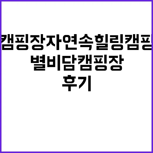 별비담캠핑장