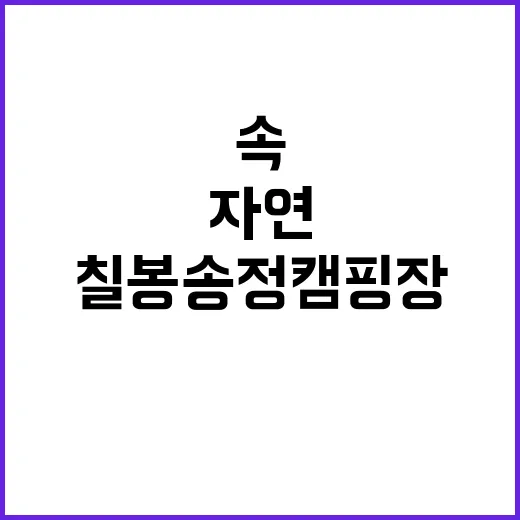 칠봉 송정 캠핑장