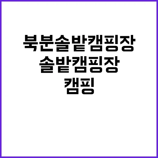 북분솔밭캠핑장