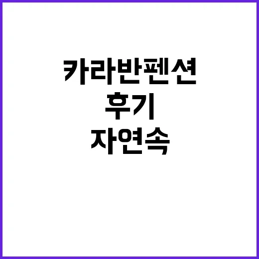 서정카라반펜션 자연…