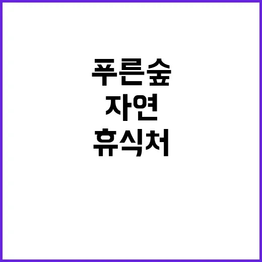 푸른숲 힐링 캠핑 …