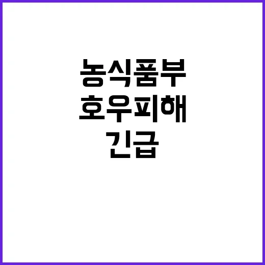 스마트팜 호우 피해…