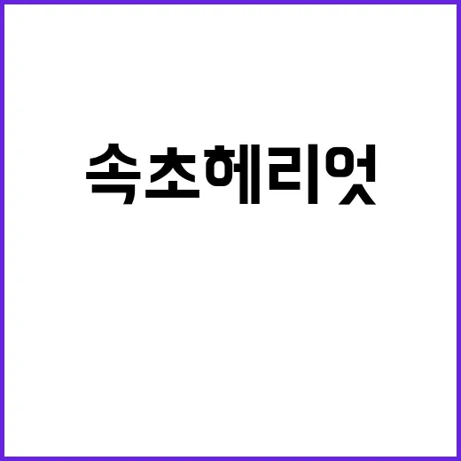 속초 헤리엇 THE…