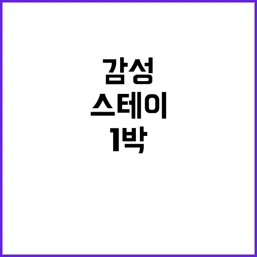 별빛스테이 감성 가…