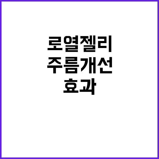 로열젤리 주름 개선…