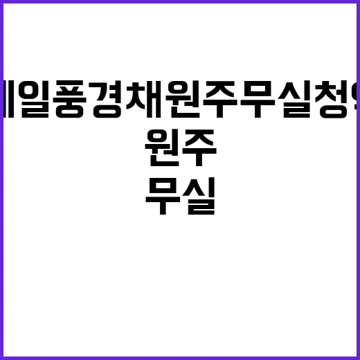 제일풍경채 원주 무실 청약 일정 및 혜택 공개!