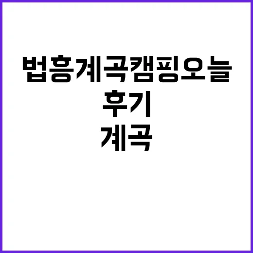 법흥계곡캠핑오늘