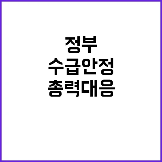 배추 정부의 수급 안정 총력 대응 전략 공개!