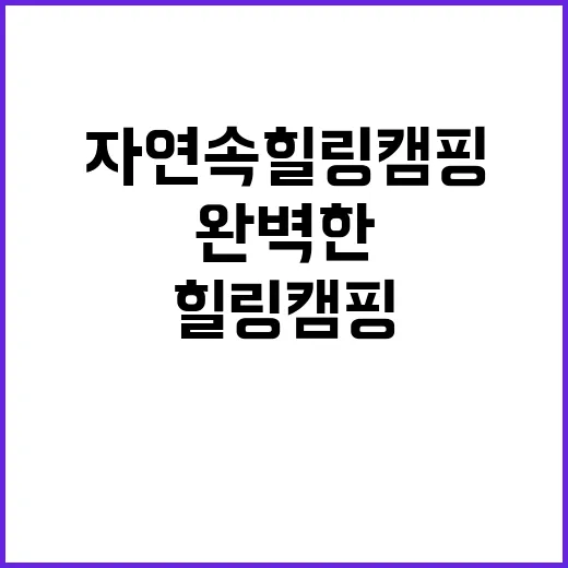 벳소캠프 자연 속 …