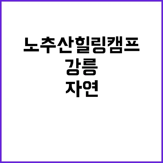 강릉 노추산 힐링캠…