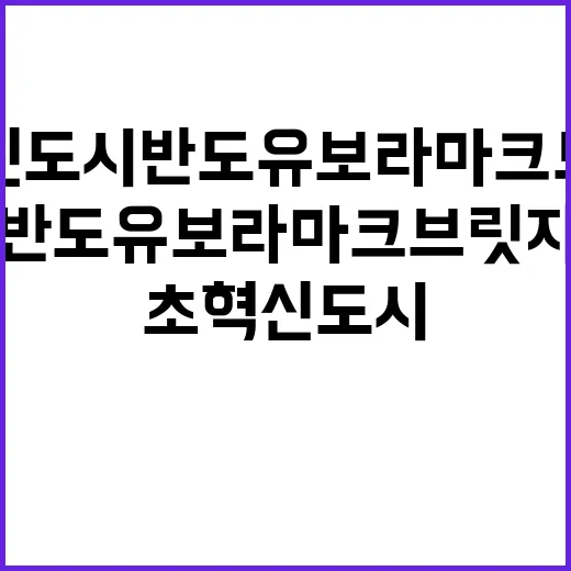 초혁신도시 반도유보…