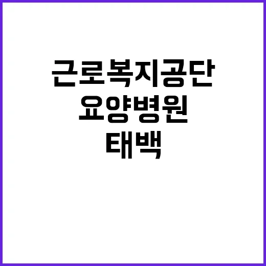 [태백요양병원] 의료직6급(간호사) 채용 공고