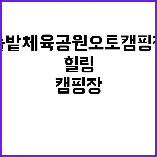 솔밭체육공원오토캠핑…