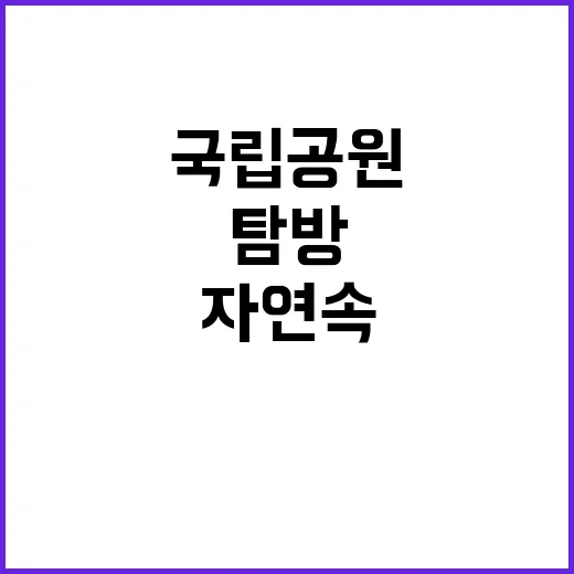 [오대산] 기간제(대체인력-탐방해설) 채용