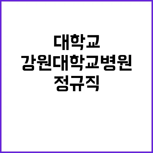 강원대학교병원 정규…