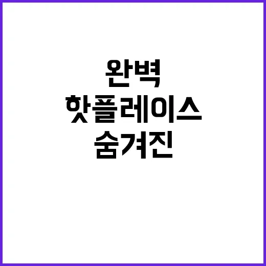 월드니스 숨겨진 핫…