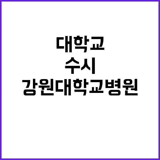 강원대학교병원 정규…