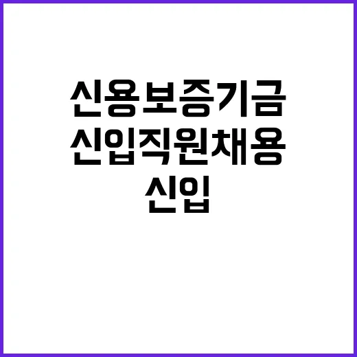 신용보증기금 정규직…