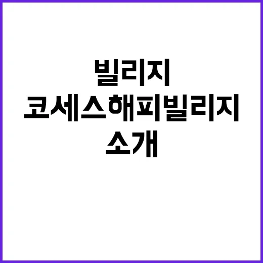 코세스해피빌리지 