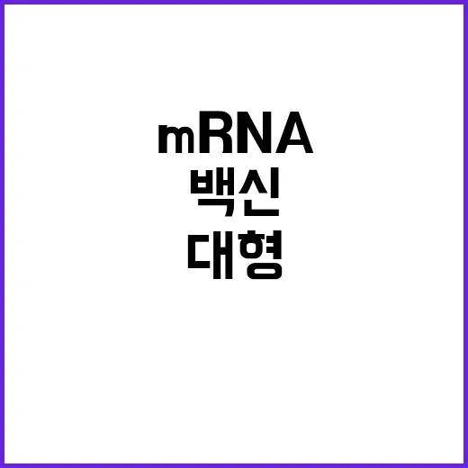 mRNA 백신 대형…