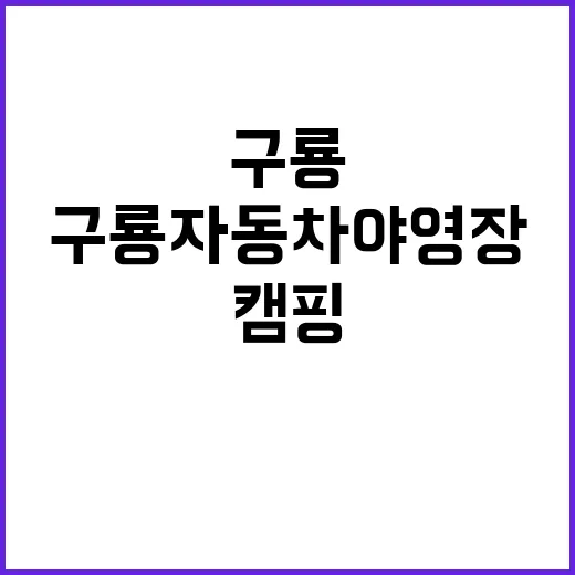 구룡자동차야영장 캠…