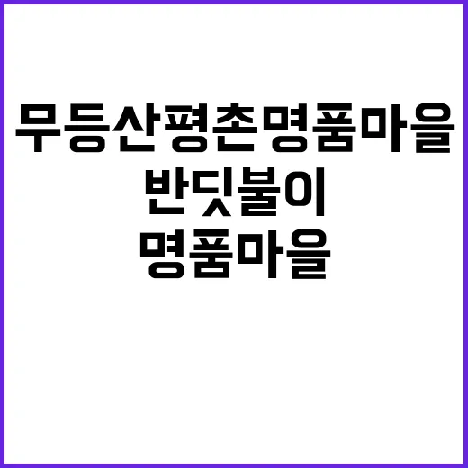 반딧불이 눈앞 무등산 평촌명품마을로 떠나세요!