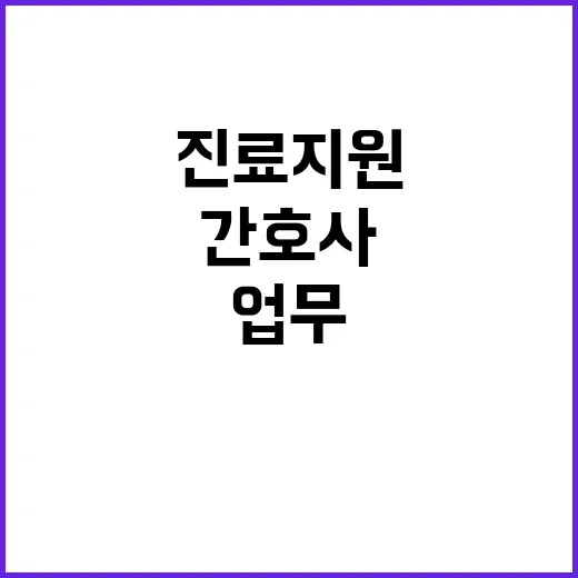 간호사 진료지원업무…