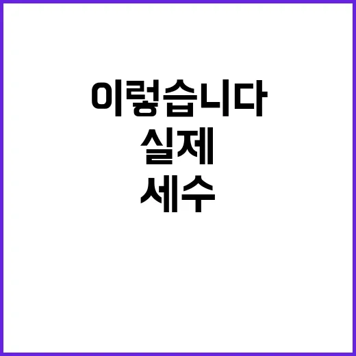 세수 부족 실제 상…