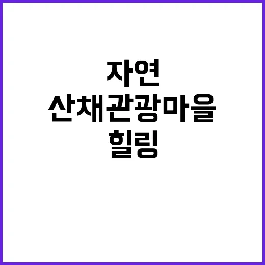 구학리 산채관광 마…