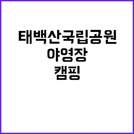 태백산국립공원야영장…