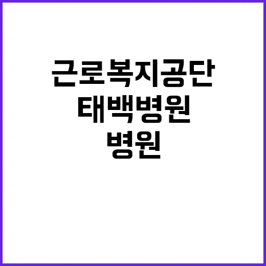 [태백병원] 의료직6급(간호사) 채용 공고