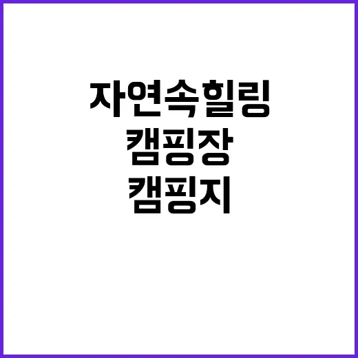 돌꽃캠핑장 최고의 …