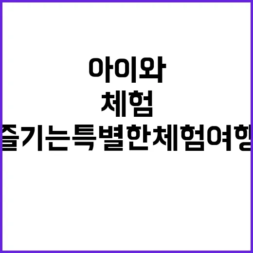 팔미체험마을 아이와…