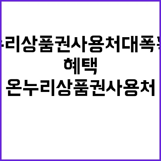 온누리상품권 사용처 대폭 확대 혜택 놓치지 마세요!