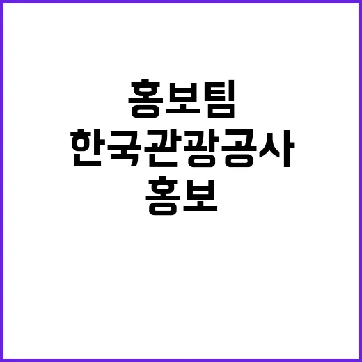 한국관광공사 비정규…