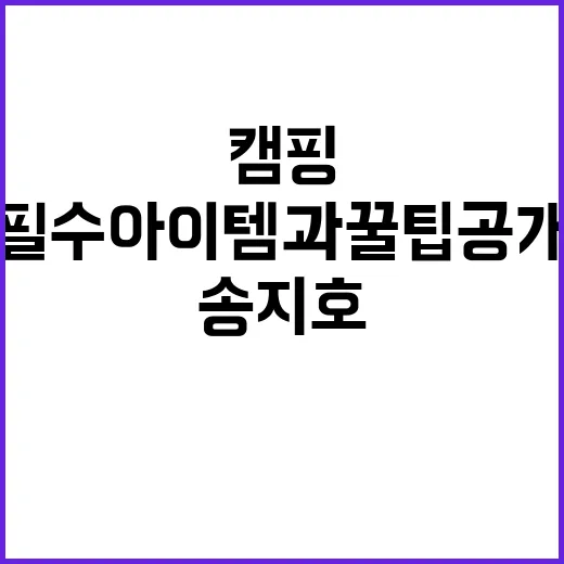 송지호해변야영장 캠…