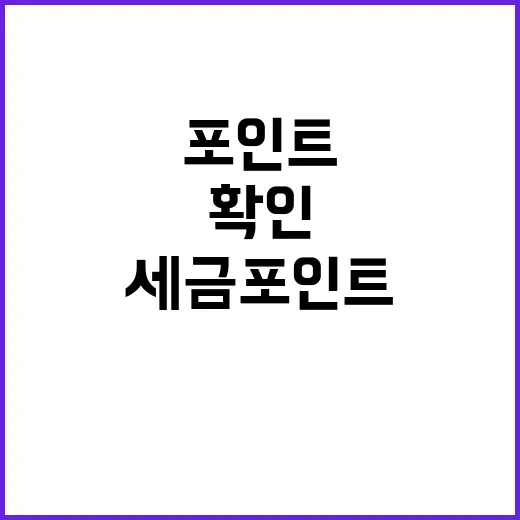 세금포인트 홈택스와…