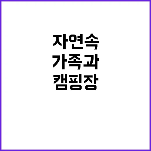 백담정 캠핑장 자연…