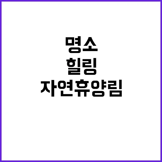 자연휴양림 추석 명…